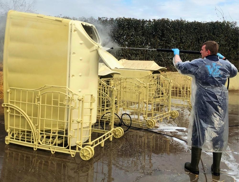 Igiene e biosicurezza delle vitellaie: il valore del tecnopolimero Welfare Farm 