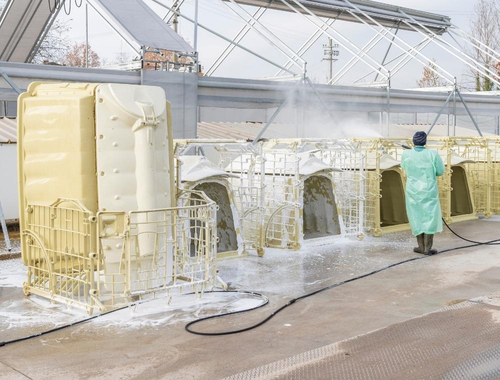 Guida alla scelta della cuccia per vitelli: igiene, montaggio e durata nel tempo