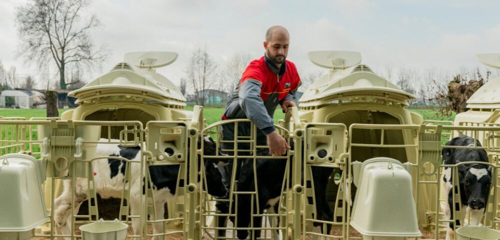 Ranch modulari collegabili: la soluzione flessibile per crescere con l’allevamento