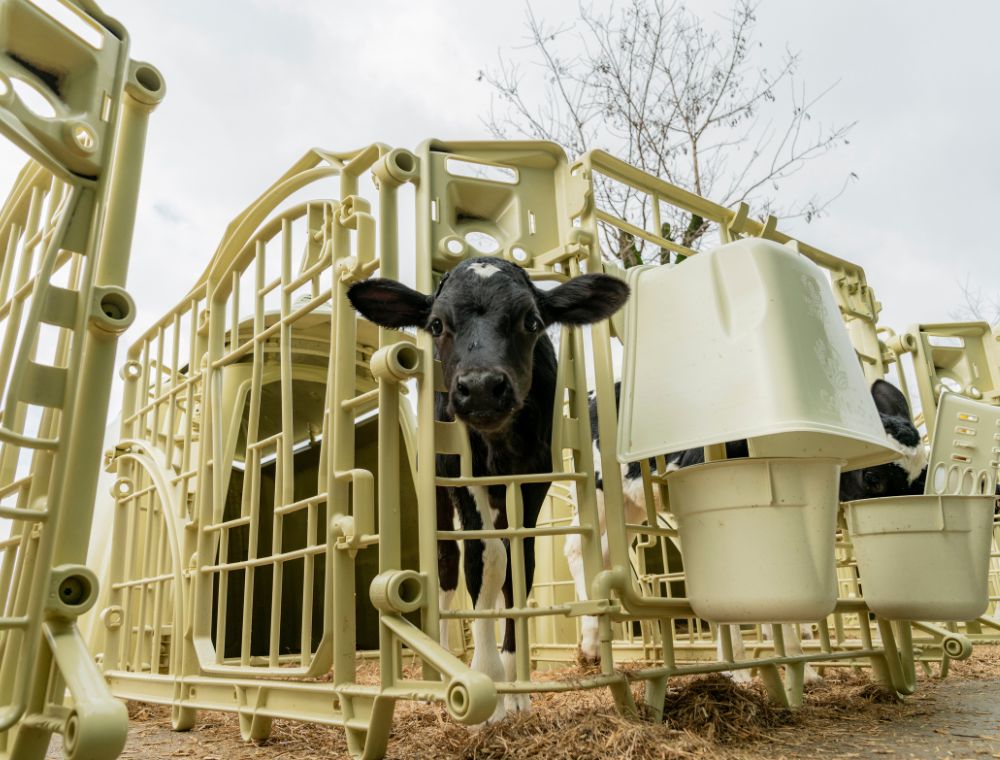 10 anni di garanzia: cosa rende il tecnopolimero Welfare Farm un materiale unico