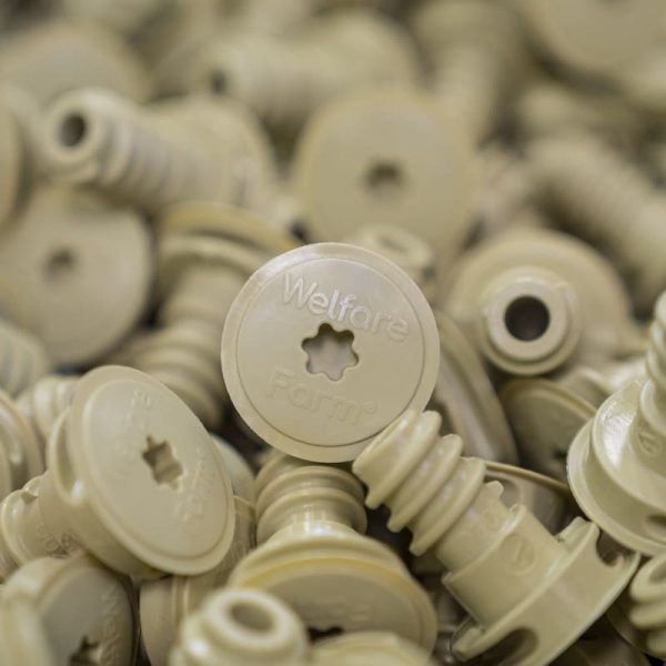 Torx T50 (2)